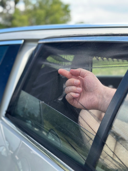 Window Bug Shade Set