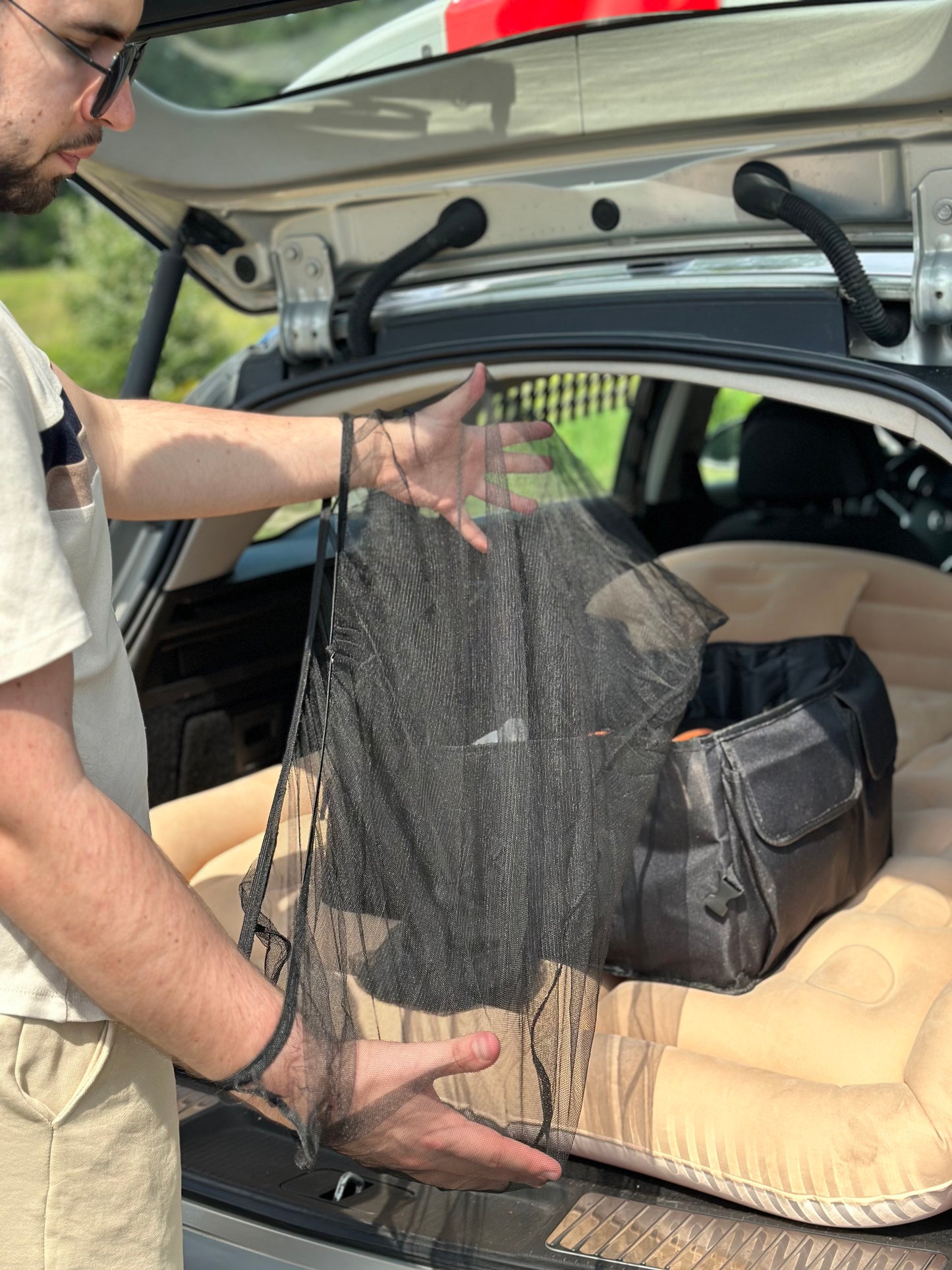 Window Bug Shade Set