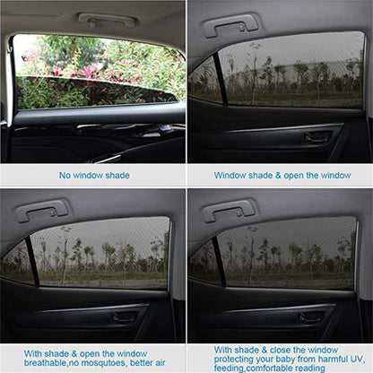 Window Bug Shade Set